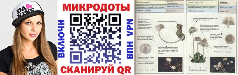 Купить закладки  Нерчинск  Псилоцибиновые грибы Magic Shrooms 