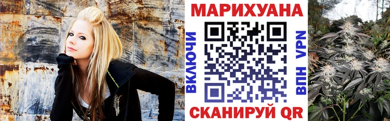 Купить  Нерчинск  МАРИХУАНА SATIVA & INDICA 